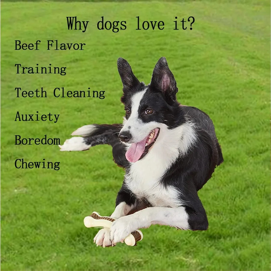 Indestructible Beef Flavor Dog Chew Toys 3 Pack Large Breed