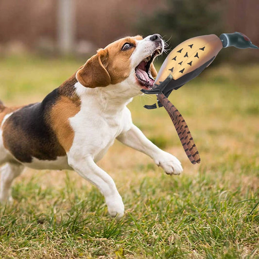 Multipurpose Dead Fowl Fetch Toy for Dogs Training Outdoor