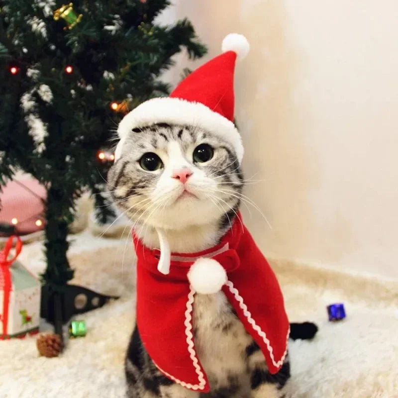 Christmas Pet Cape Hat Scarf Set for Cats and Small Dogs