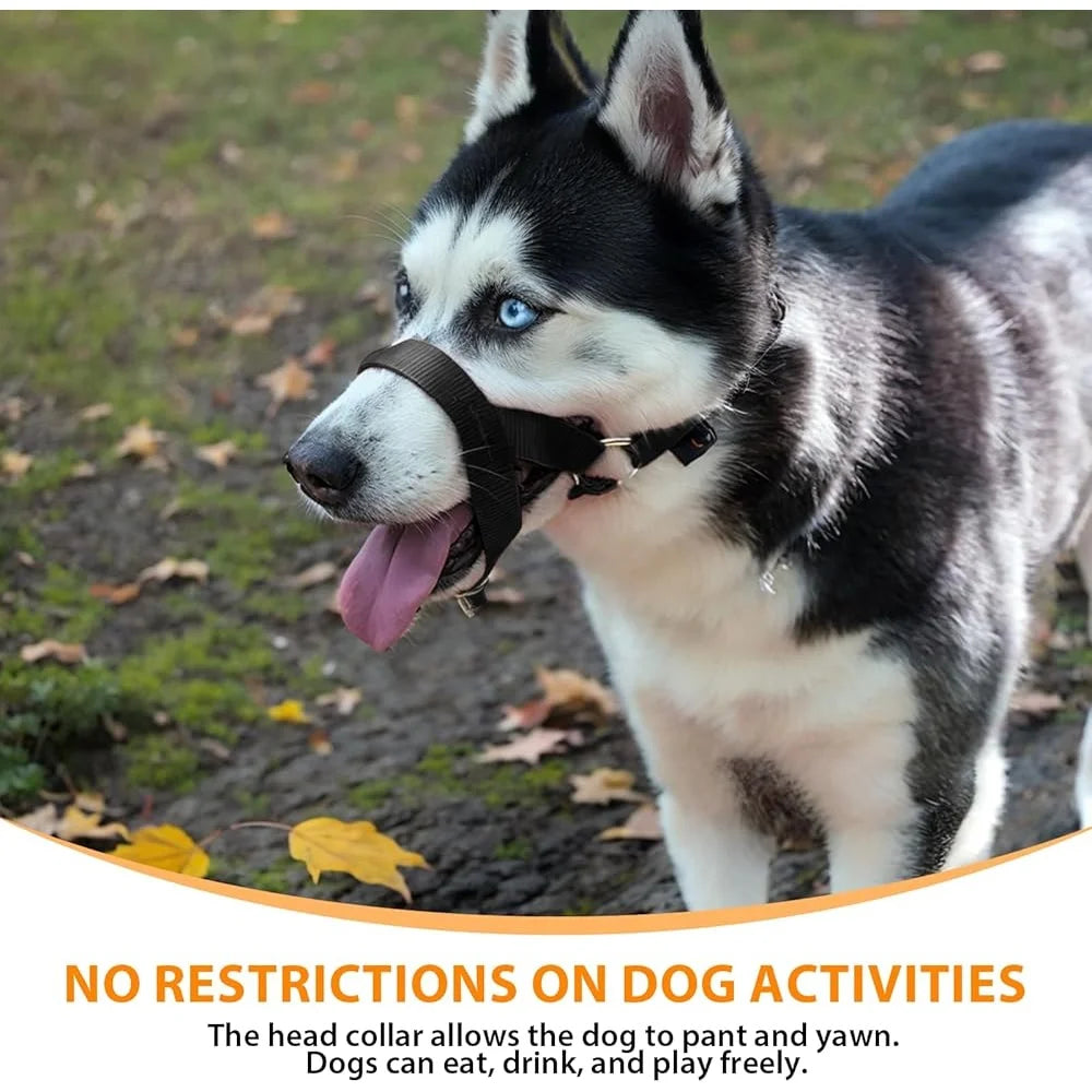 No Pull Dog Head Collar Training Harness for Medium Large Dogs Adjustable Comfortable Fit with Training Guide Included