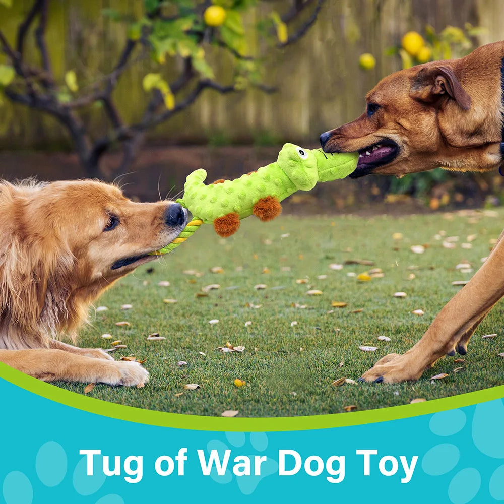 Dog Squeaky Toy 2 Pack Interactive Plush Tug Of War Toy