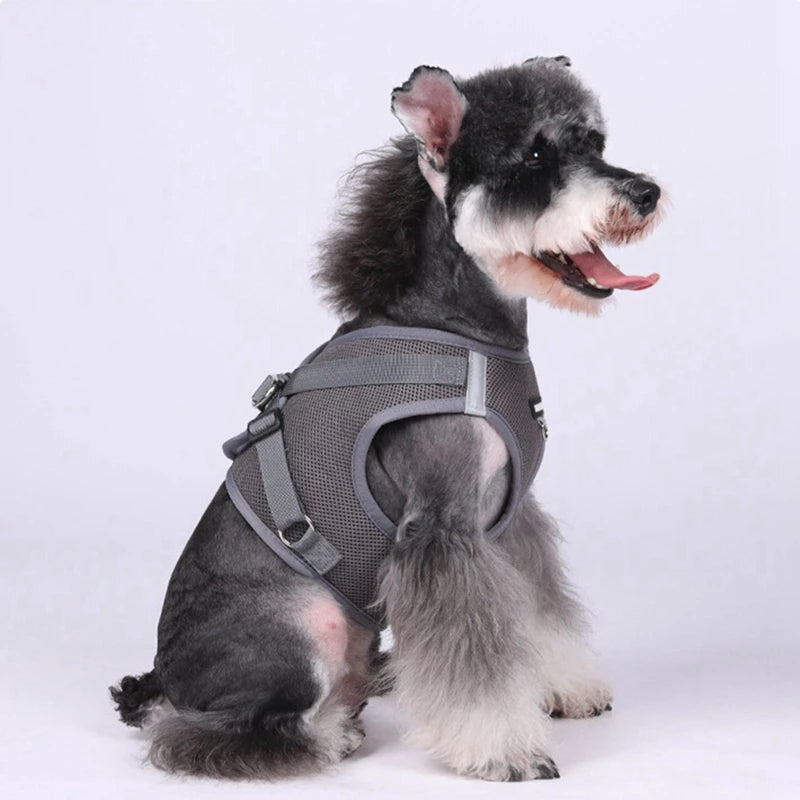 Pet Harness With AirTag Tracker And Leash Set For Small Medium Dogs And Cats Adjustable Chest Strap Outdoor Vest