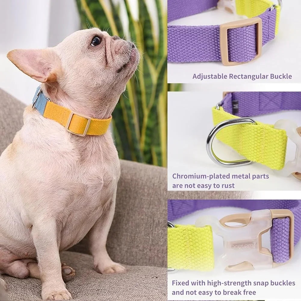 No Pull Dog Harness Set Adjustable Lightweight Cotton Halter With Leash Poop Bag Holder Escape Proof Step In Design