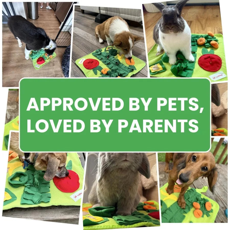 Snuffle Mat For Small Dogs And Cats 15x15 Foraging Washable