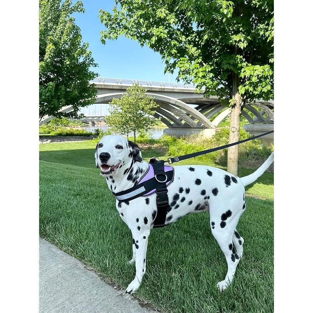 No Pull Dog Harness Reflective Soft Leash Vest With 3 Clips