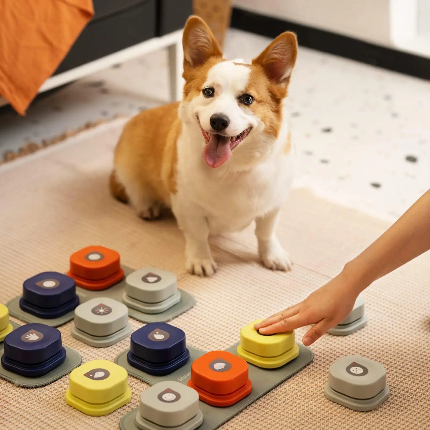 MewooFun Dog Button Record Talking Pet Toy Interactive