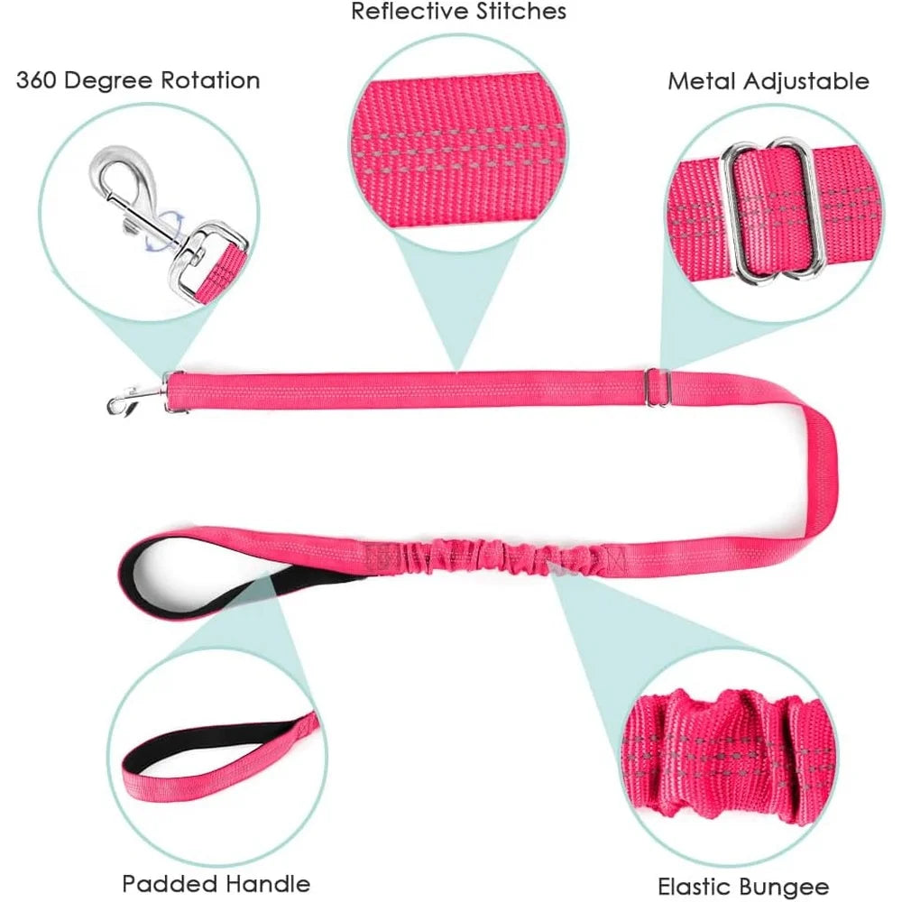 Soft Padded Dog Harness Leash Set Adjustable Reflective Vest for Small Dogs Quick Fit Neck and Chest Safe Walking with 4ft Leash
