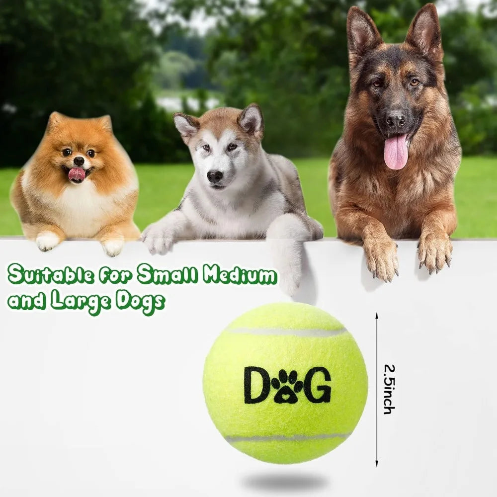 40 Pack 2.5 Inch Tennis Balls Dog Toys With Carry Bags
