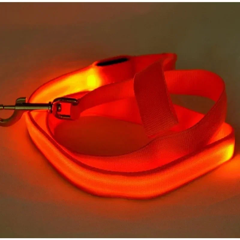 Flashing Dog Leash Rope Harness Collar Electronic Glowing LED Light Safety Accessory for Pets