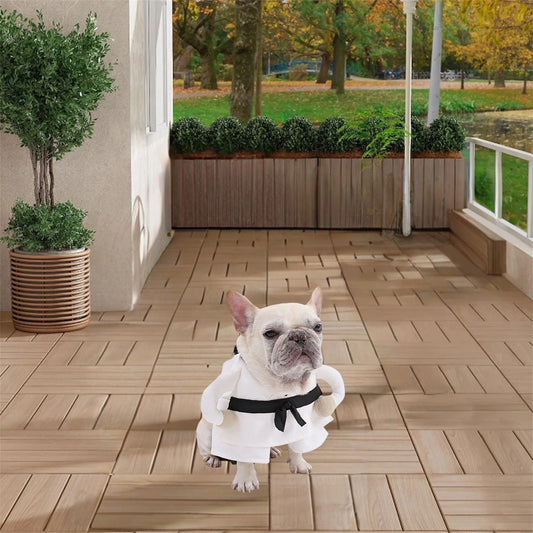 Funny Halloween Pet Costume For Dogs Cats Indoor Outdoor