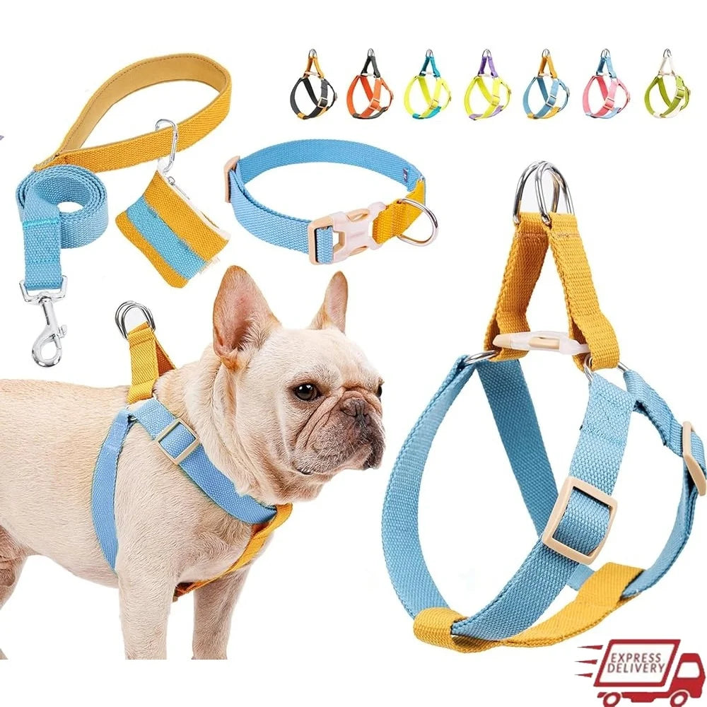 No Pull Dog Harness Set Adjustable Lightweight Cotton Halter With Leash Poop Bag Holder Escape Proof Step In Design
