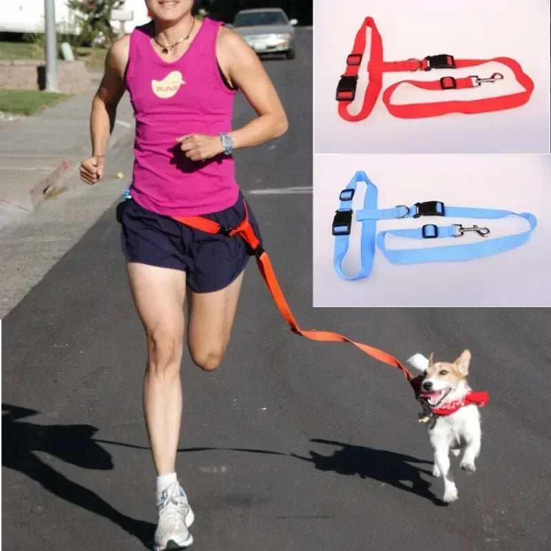 Adjustable Belt Traction Walking Pet Lead with Free Rope for Cats and Dogs - Jogging Supplies and Leash