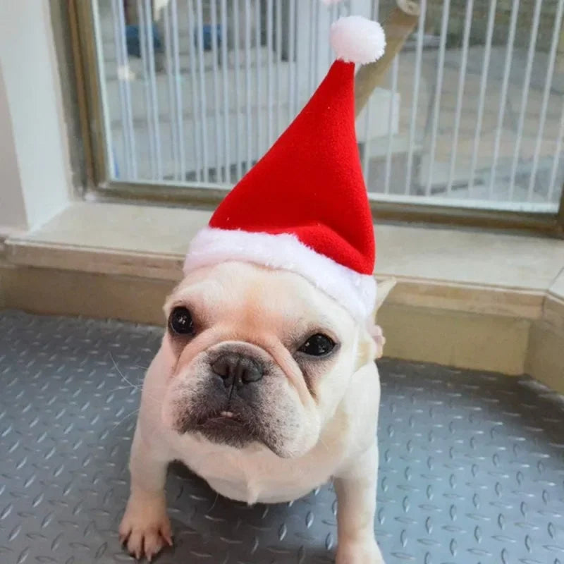 Christmas Pet Cape Hat Scarf Set for Cats and Small Dogs