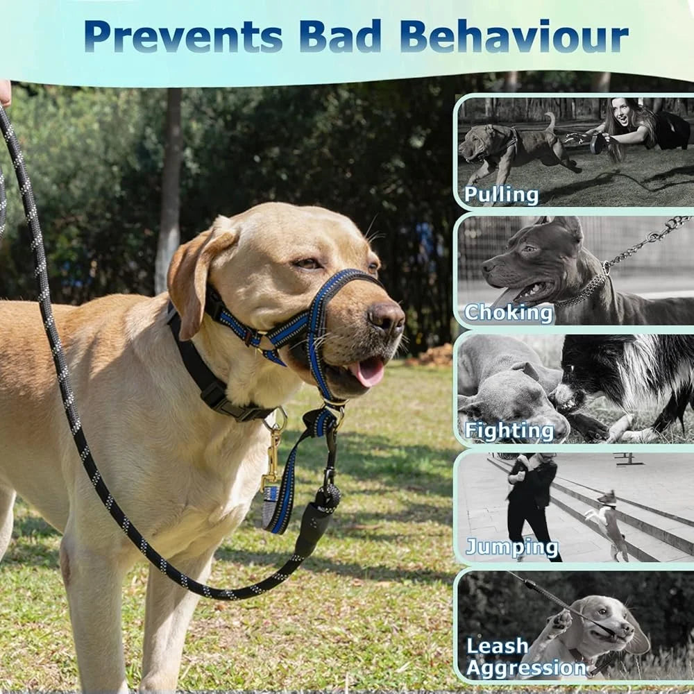 No Pull Dog Head Halter for Heavy Pullers Gentle Face Harness with Reflective Leash for Medium Aggressive Dogs