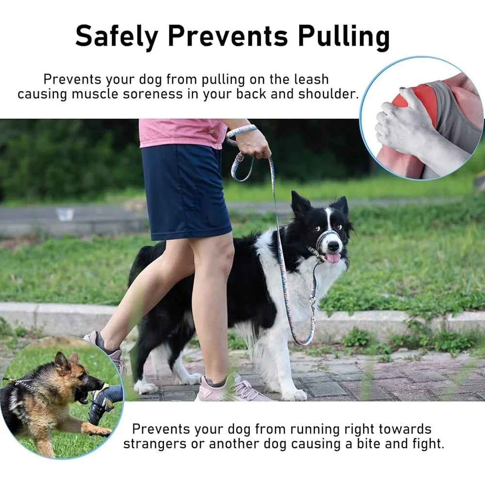 Dog Head Collar Anti Pulling Halter with Leash Adjustable Snout Harness for Large Medium Small Dogs Safe Durable Training Tool