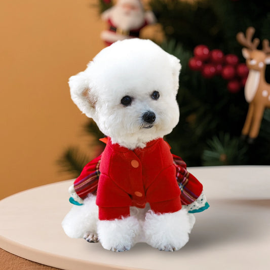 Christmas Dog Costume With Santa Hat And Jingle Bell Collar