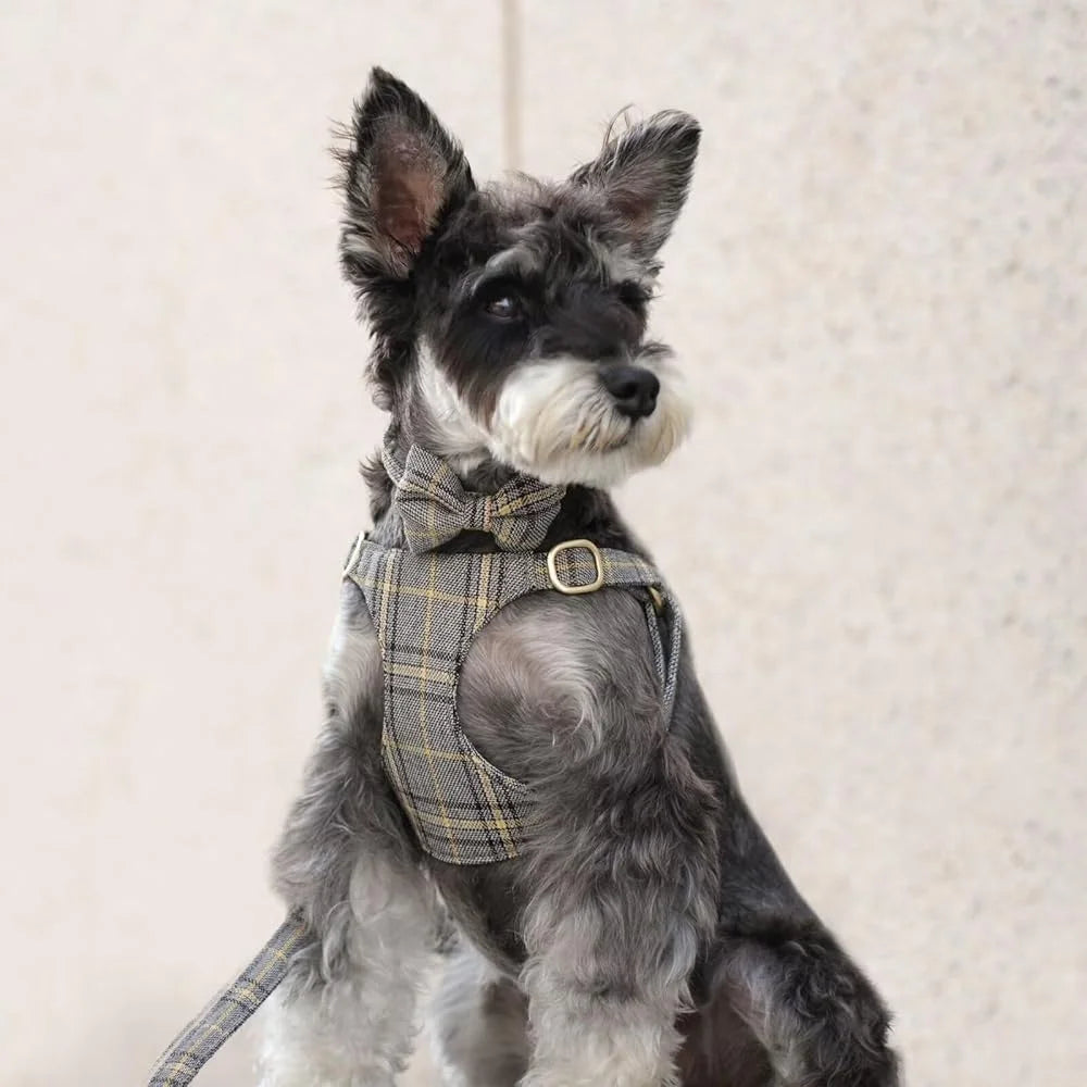 Cute Small Dog Harness Set Adjustable Soft Plaid Pet Collar Leash Bowtie for Puppies Walking Parties Comfort and Durability